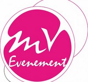 logo solo page accueil 270x250