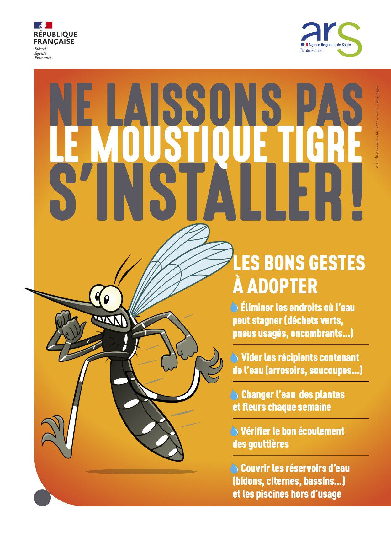 Actu Affiche moustique tigre