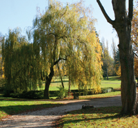 Le Parc du Grand Veneur