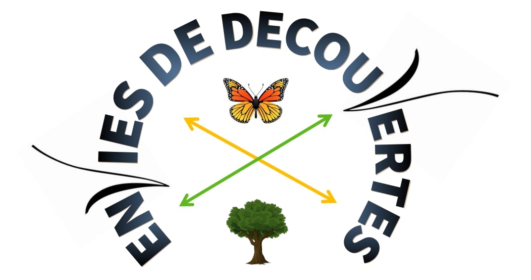 Envies de decouvertes