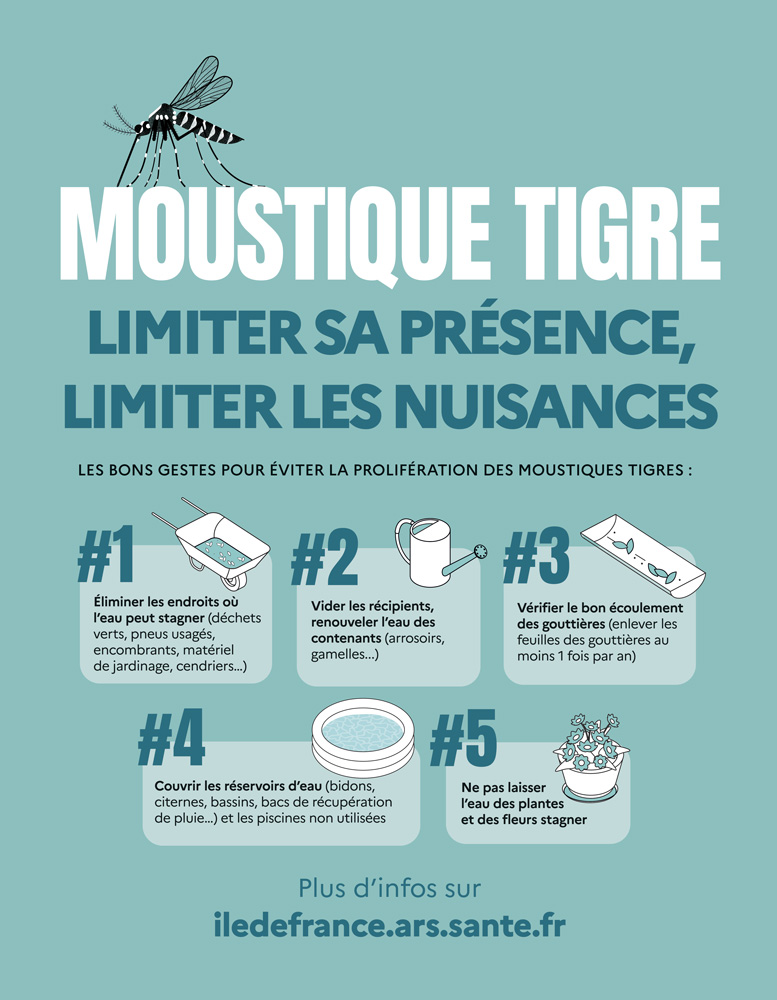 ARS MOUSTIQUES 40X60 web