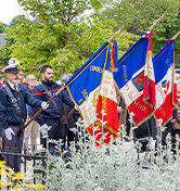 Agenda-8-mai