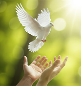 Agenda-ceremonie-voeux-2026