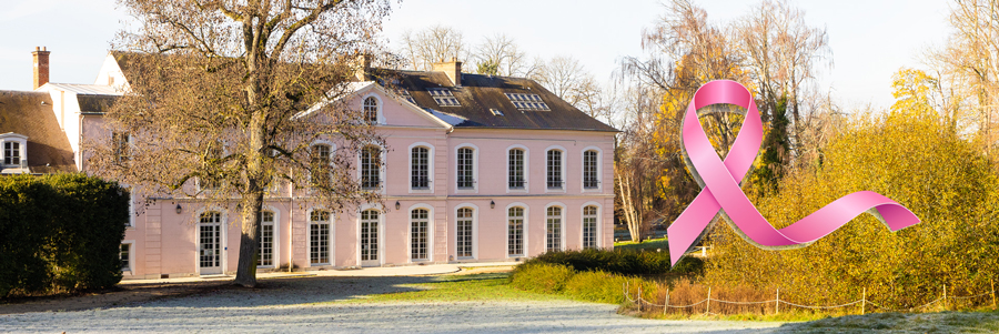 Octobre Rose Soisy sur Seine