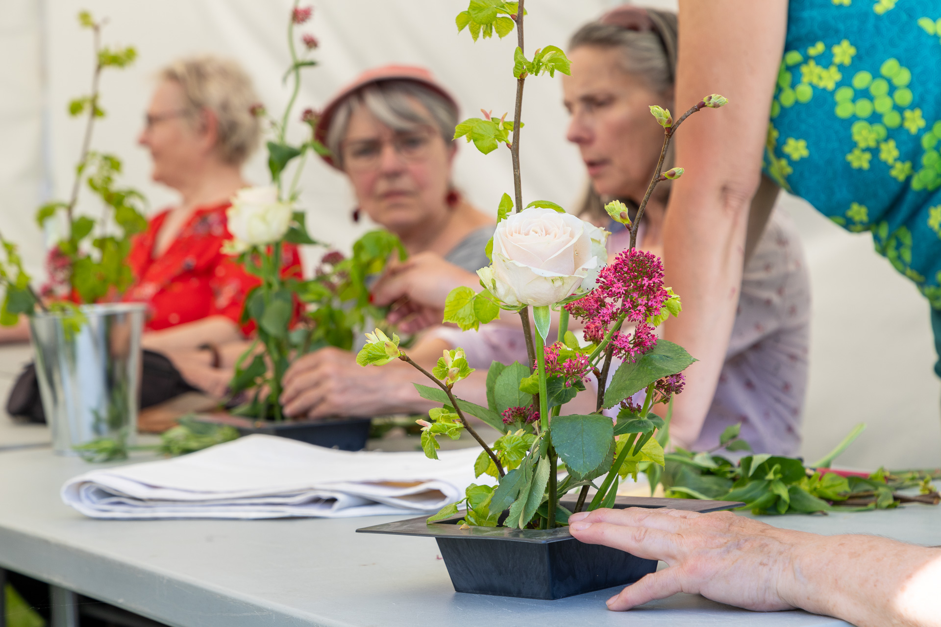 2024-05-11-Fete-des-Jardins-selec-site-2067