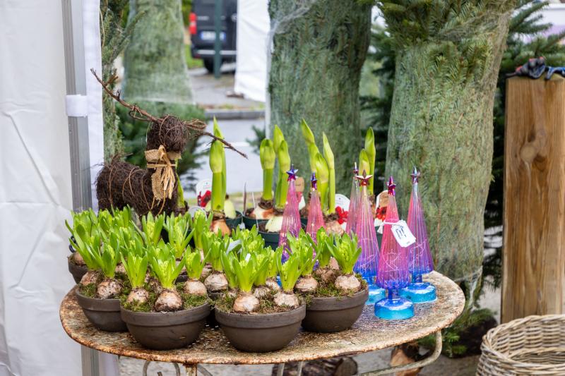 2025-12-06-07-marche-de-Noel-web-9921