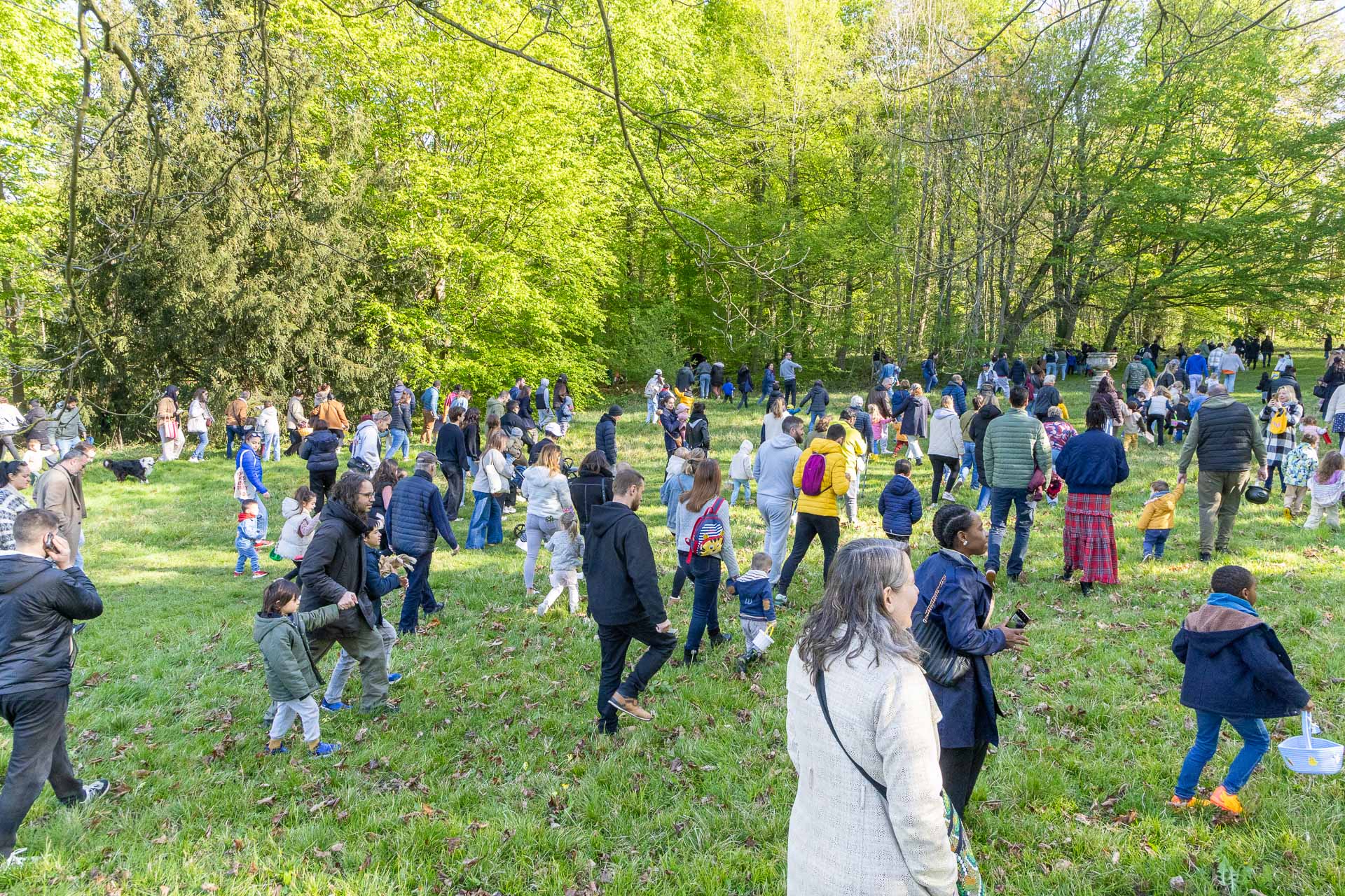 2026-04-06-chasse-aux-oeufs-web-8421
