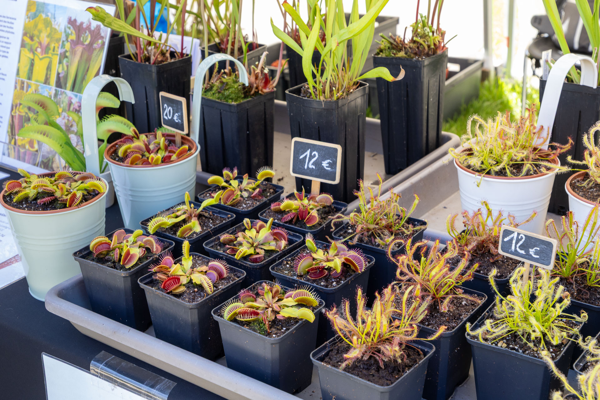 2026-05-09-Fete-des-Jardins-web-0116