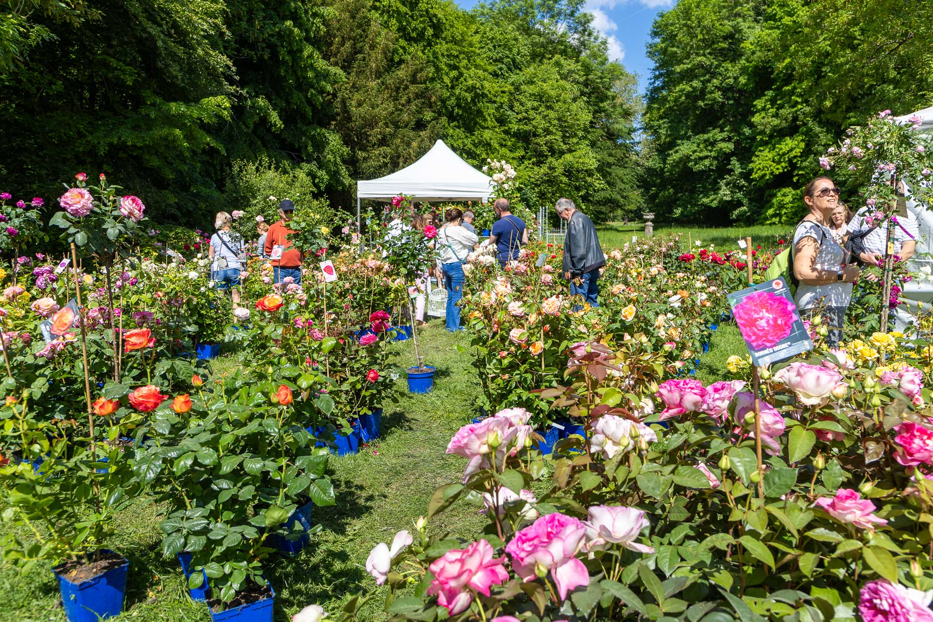 2026-05-09-Fete-des-Jardins-web-0608