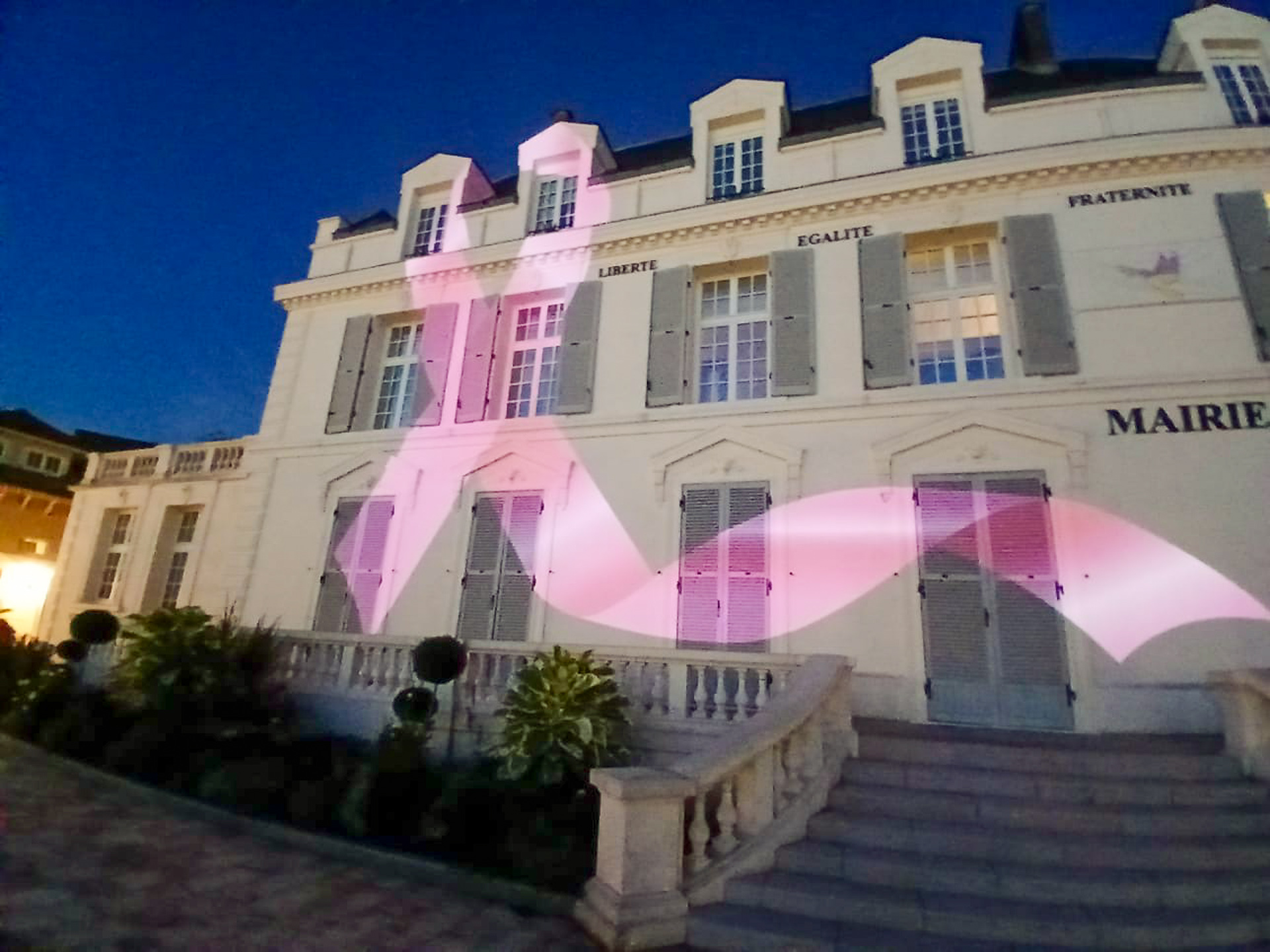 2026-10-11-Octobre-Rose-La-Soiseenne-selec-web-3